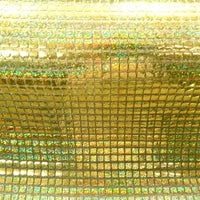 SWATCHES Hologram Square Sequins