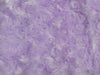Rose Bud Fur DARK LAVENDER