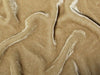 SWATCHES Plush Silk Velvet 54" Wide