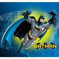 Anti-Pill Batman In Gotham Fleece Panel 95