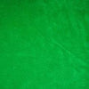 Kelly Green Solid Fleece