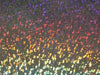 SWATCHES Metallic Hologram Foil Spandex