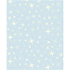 Anti-Pill Glittering Star Lt Blue Fleece 407