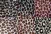 SWATCHES Jaguar Minky Cuddle Fur