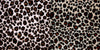 SWATCHES Cheetah Minky Cuddle Fur
