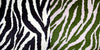 SWATCHES Zebra Minky Cuddle Fur