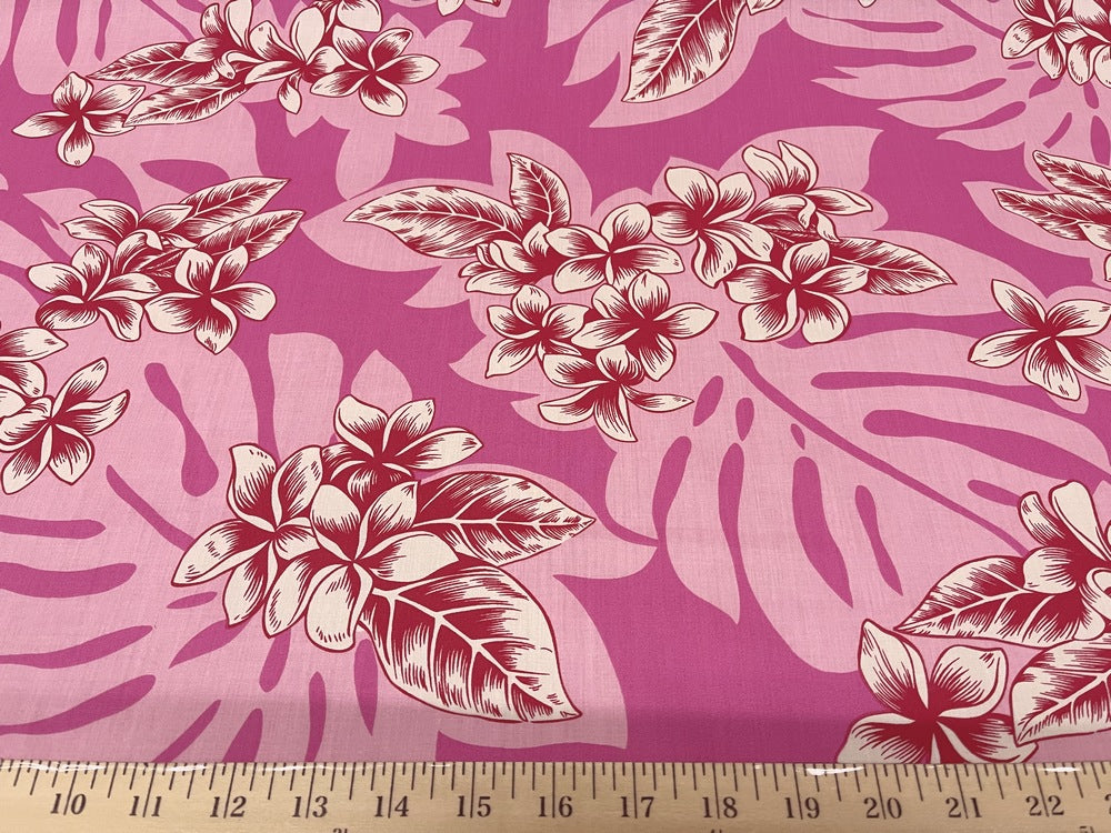 pink monstera for sale PINK MONSTERA PLUMERIA HP-114