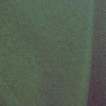 Hunter Green Solid Fleece