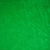 Kelly Green Solid Fleece