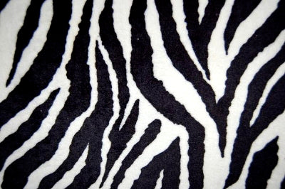 SWATCHES Zebra Minky Cuddle Fur