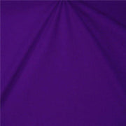 Sparkle Swimsuit Spandex PURPLE