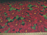 Premium Anti-Pill Poinsettia On Black Fleece 308