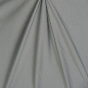 Sparkle Swimsuit Spandex SILVER