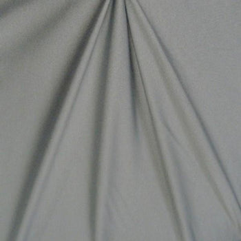 Sparkle Swimsuit Spandex SILVER