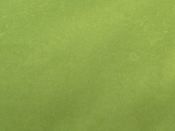Alova Suede Cloth Sage