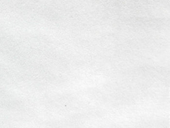 Upholstery Plush Velvet WHITE