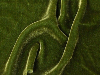 Plush Silk Velvet 54