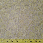 Rachel Lace CHAMPAGNE FL-27