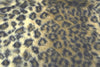 SWATCHES Misc Long Pile Minky Fur Prints