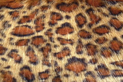 Gold Panther Minky Fur MF-33