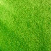 Lime Green Solid Fleece