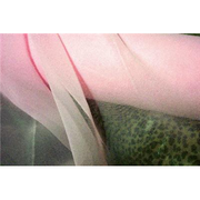 Chiffon 44 Inch Wide PINK