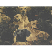 Premium Anti-Pill Allover Labs Fleece