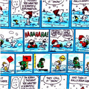 Anti-Pill Peanuts Snoopy Fleece B611