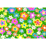 Premium Anti-Pill Daisy Dukes Fleece B62