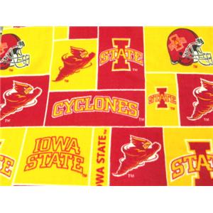 Premium Anti-Pill Iowa State Fleece B86 "LAST PIECE MEASURES 1 YARD 27 INCHES"