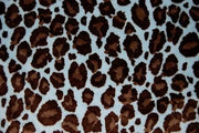 Jaguar Minky Cuddle Fur BROWN BLUE