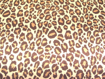 SWATCHES Jaguar Charmeuse Satin