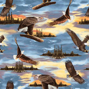 Premium Anti-Pill Sunset Eagles Fleece 569