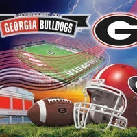 Premium Anti-Pill University Of Georgia Stadium Football Fleece Panel B186