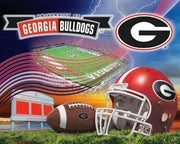 Premium Anti-Pill University Of Georgia Stadium Football Fleece Panel B186