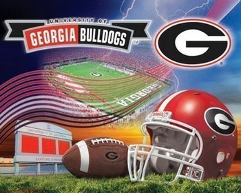Premium Anti-Pill University Of Georgia Stadium Football Fleece Panel B186