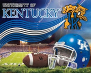 Anti-Pill Kentucky Stadium Football Fleece Panel B597