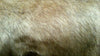 SWATCHES Misc Long Pile Minky Fur Prints