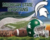 Premium Anti-Pill Michigan State Stadium Wave Football Fleece B464