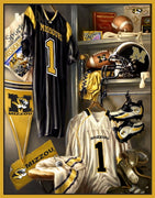 Premium Anti-Pill Missouri Locker Room Fleece Panel B44