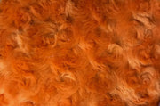 Rose Bud Fur ORANGE