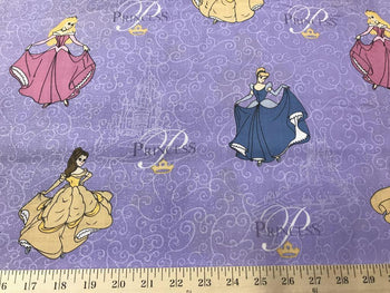 Disney Glitter Princess CT-12