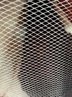 Silver Blog Mesh Metallic Mesh SILVER | SY Fabrics