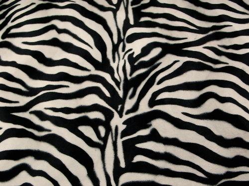 Velboa Large Ivory Black Zebra Prints